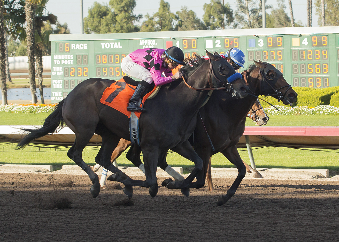 All Out Blitz wins a Dec. 17 maiden race