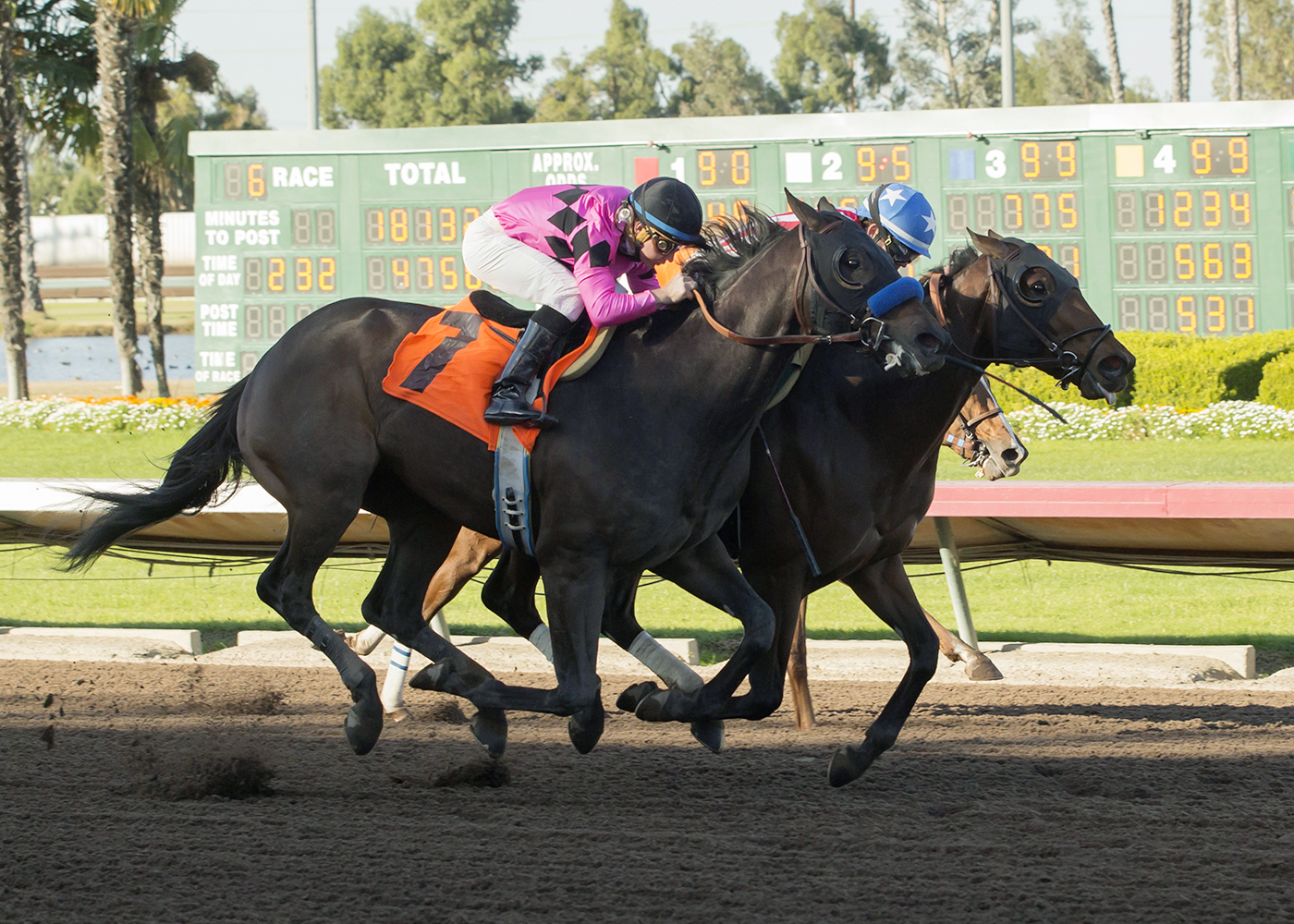 Restoring Hope finishes second in a Dec. 17 maiden race