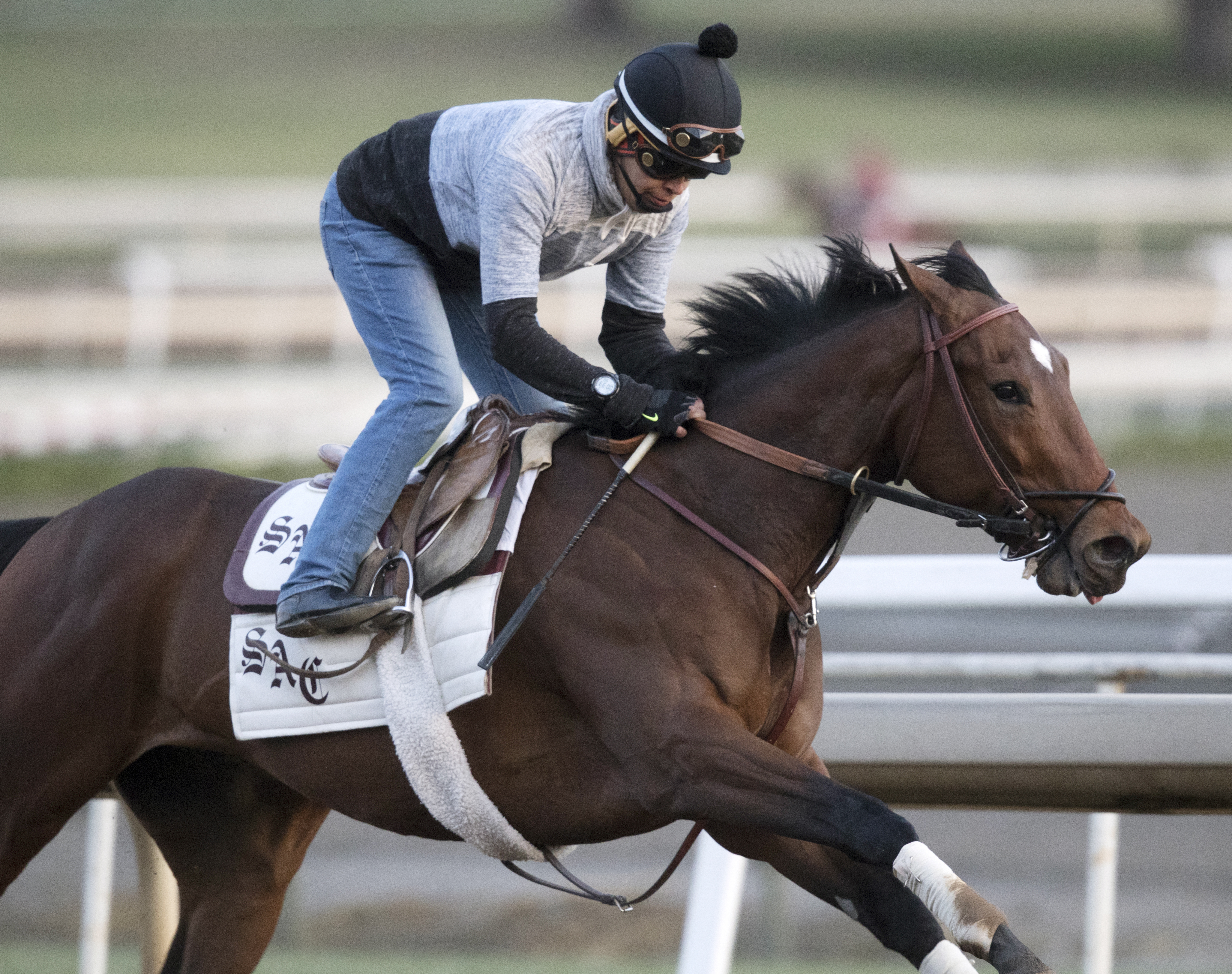 All Out Blitz trains at Santa Anita on Feb. 22