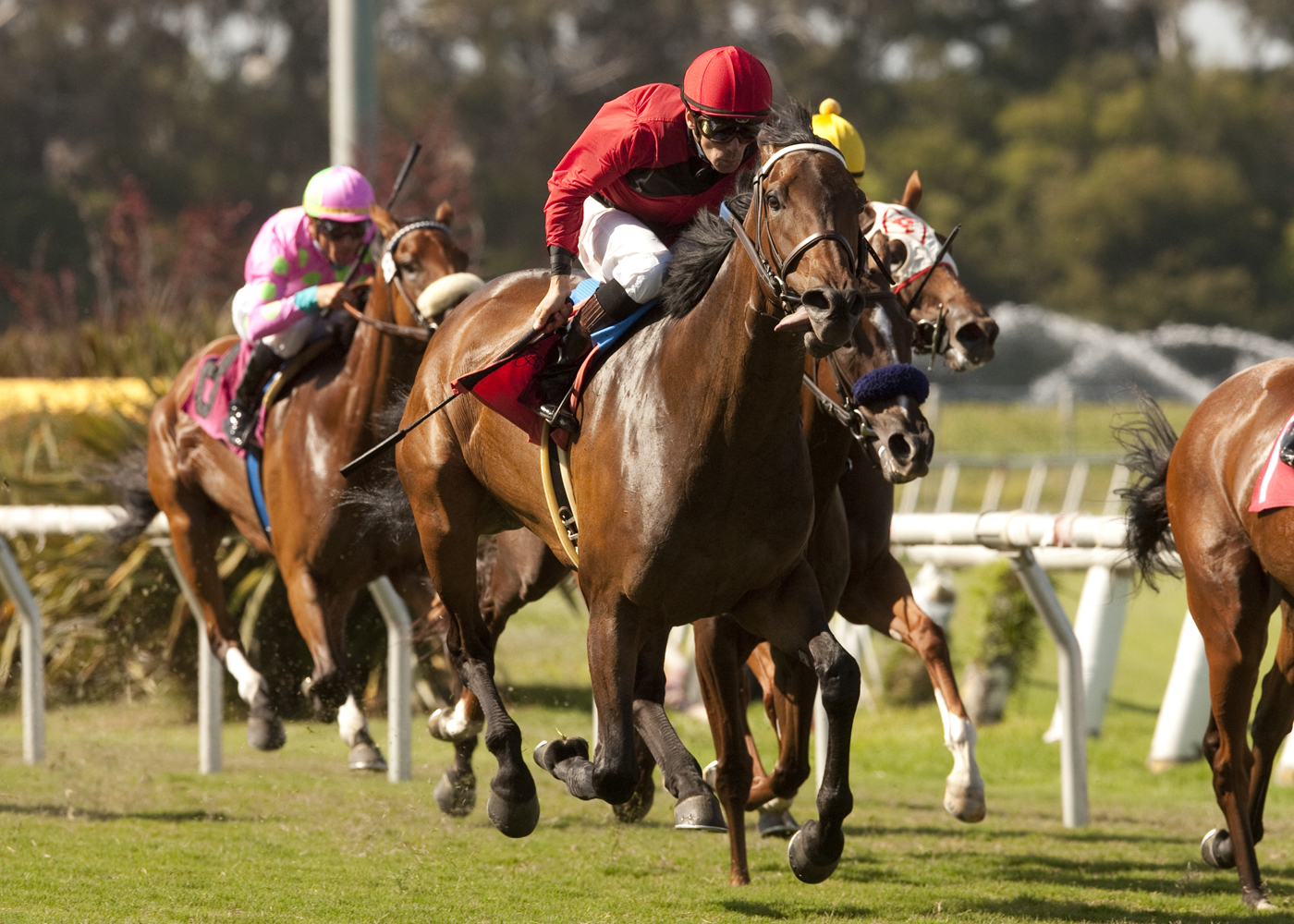 All Star Heart/Redondo Beach Stakes