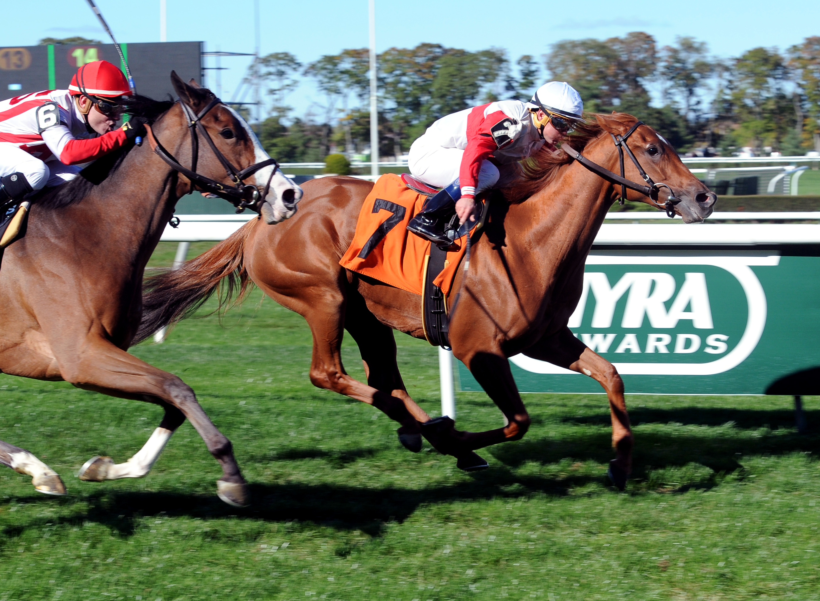 All in Fun wins a maiden race