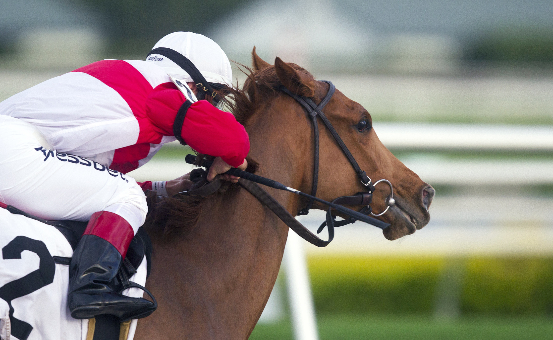All in Fun wins a 2015 allowance race