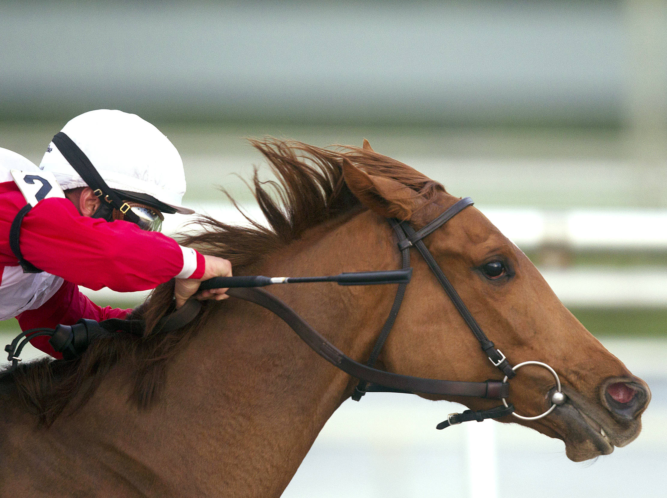 All in Fun wins an allowance race