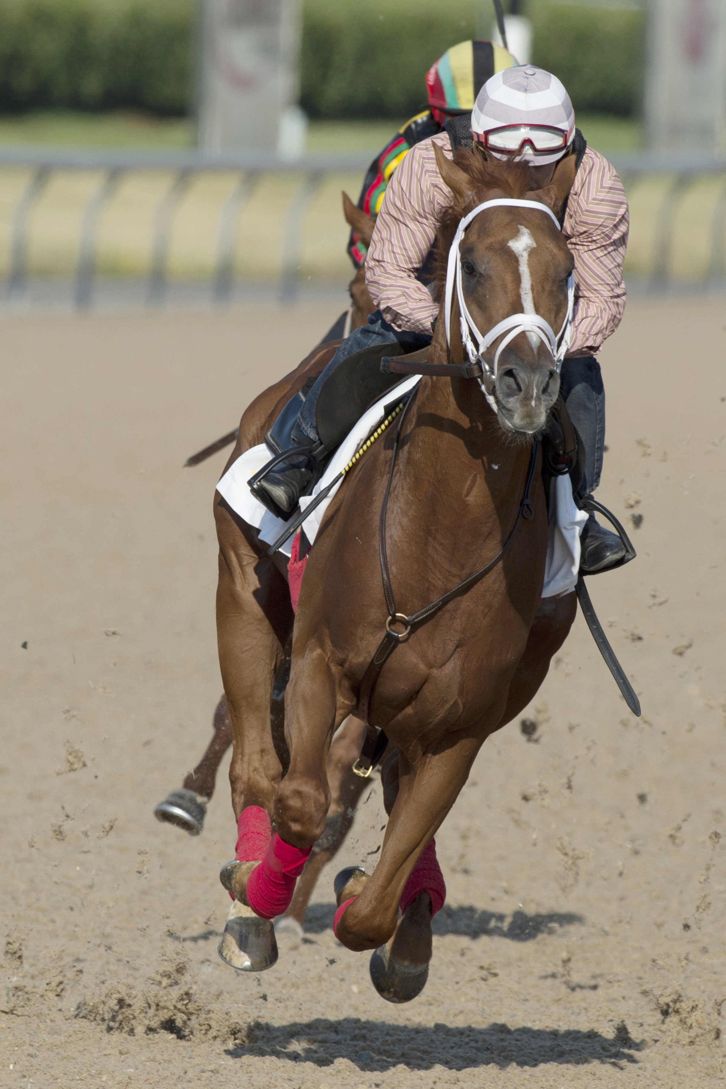All on Red trains at Woodbine on June 30