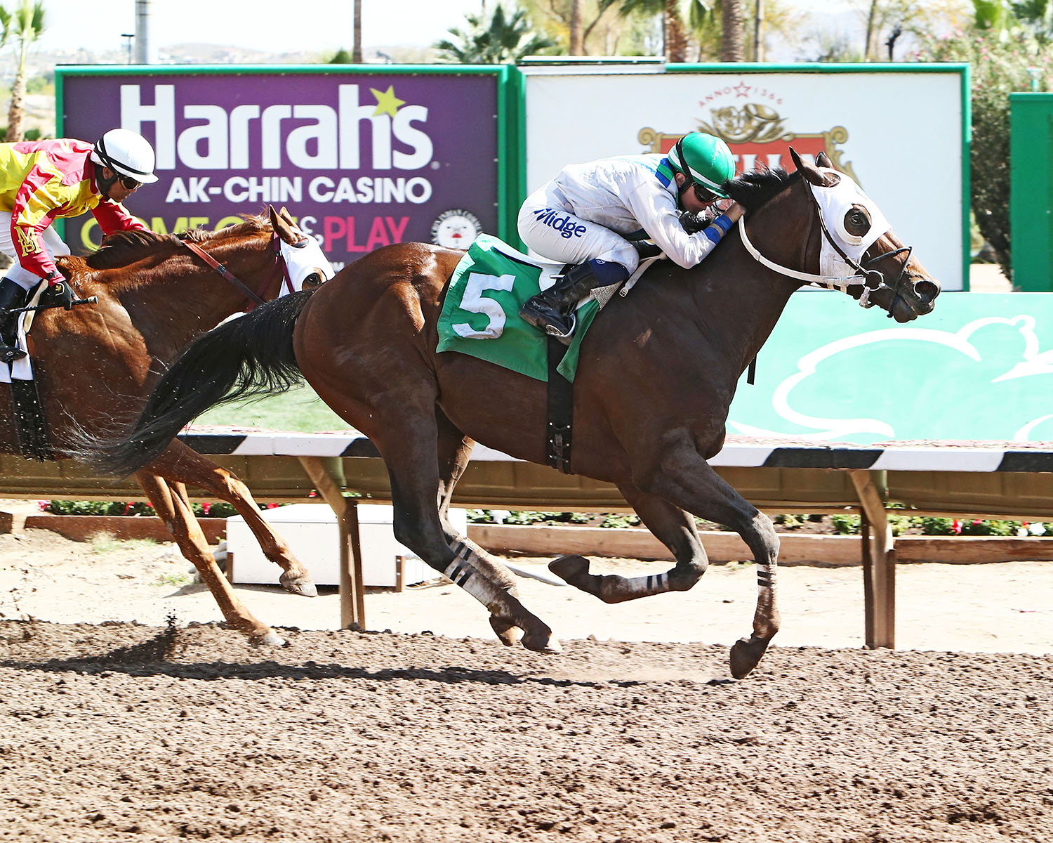 Alley Boss wins an March 14 allowance