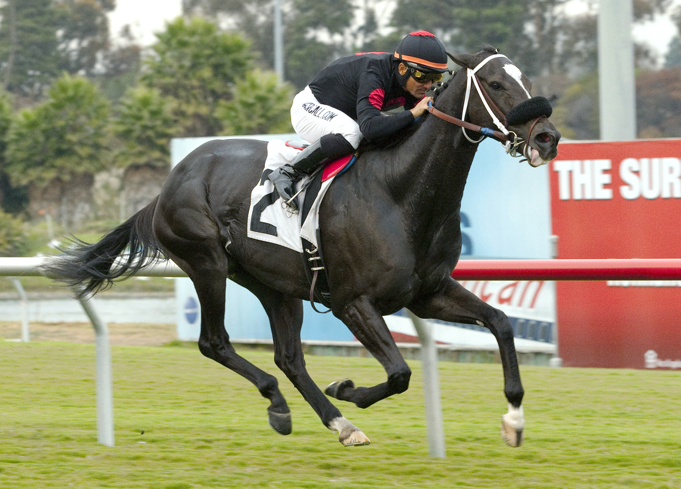 Alley Hondro/allowance win