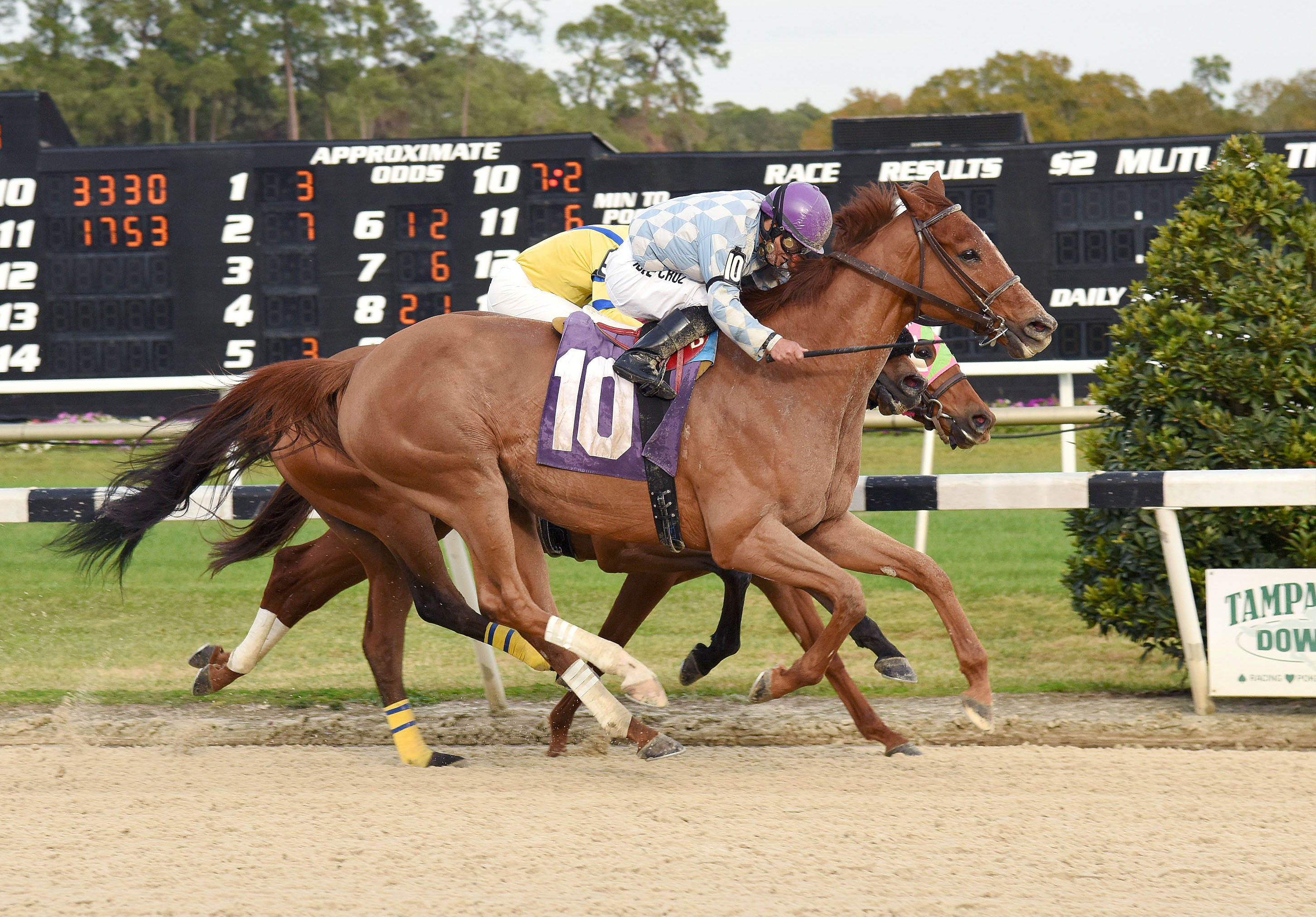 Allie's Event wins an allowance optional claimer on Jan. 30