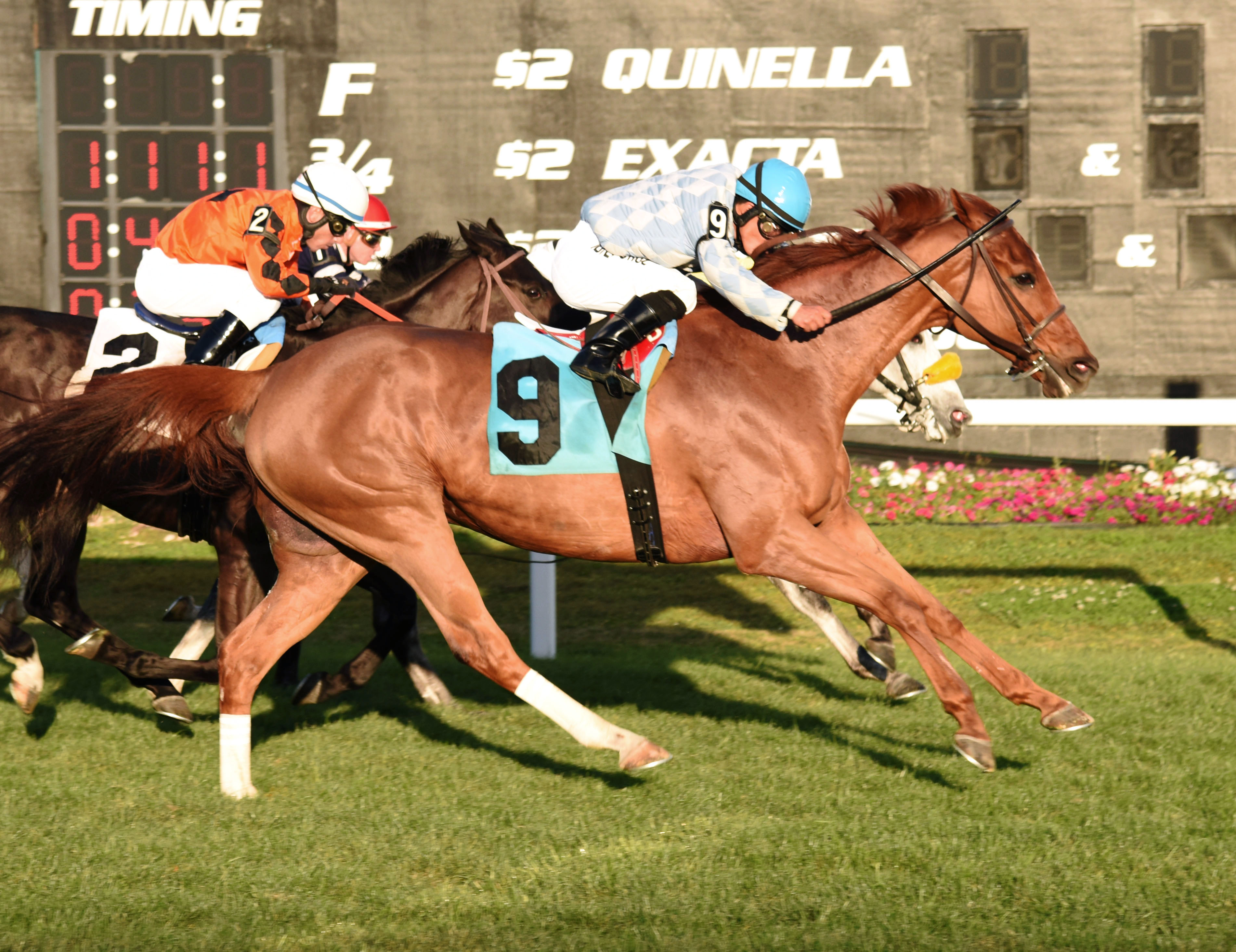 Allie's Event wins an allowance optional claimer on Feb. 20