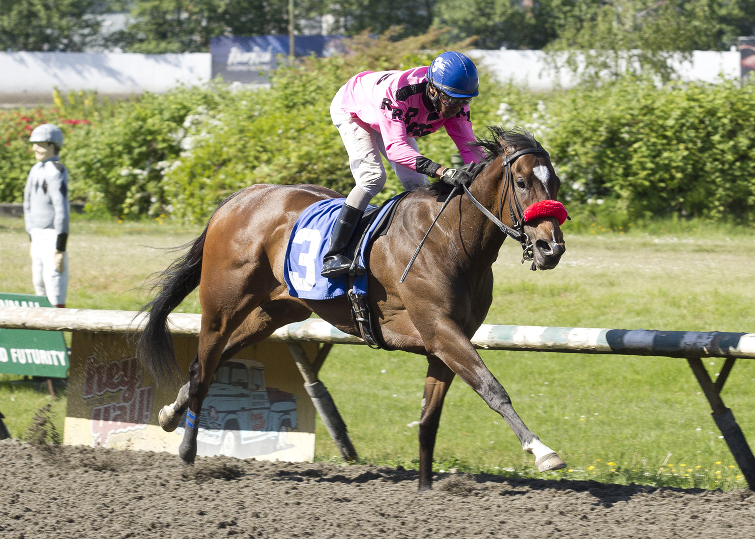 Alliford Bay wins the 2018 Vancouver Sun Stakes