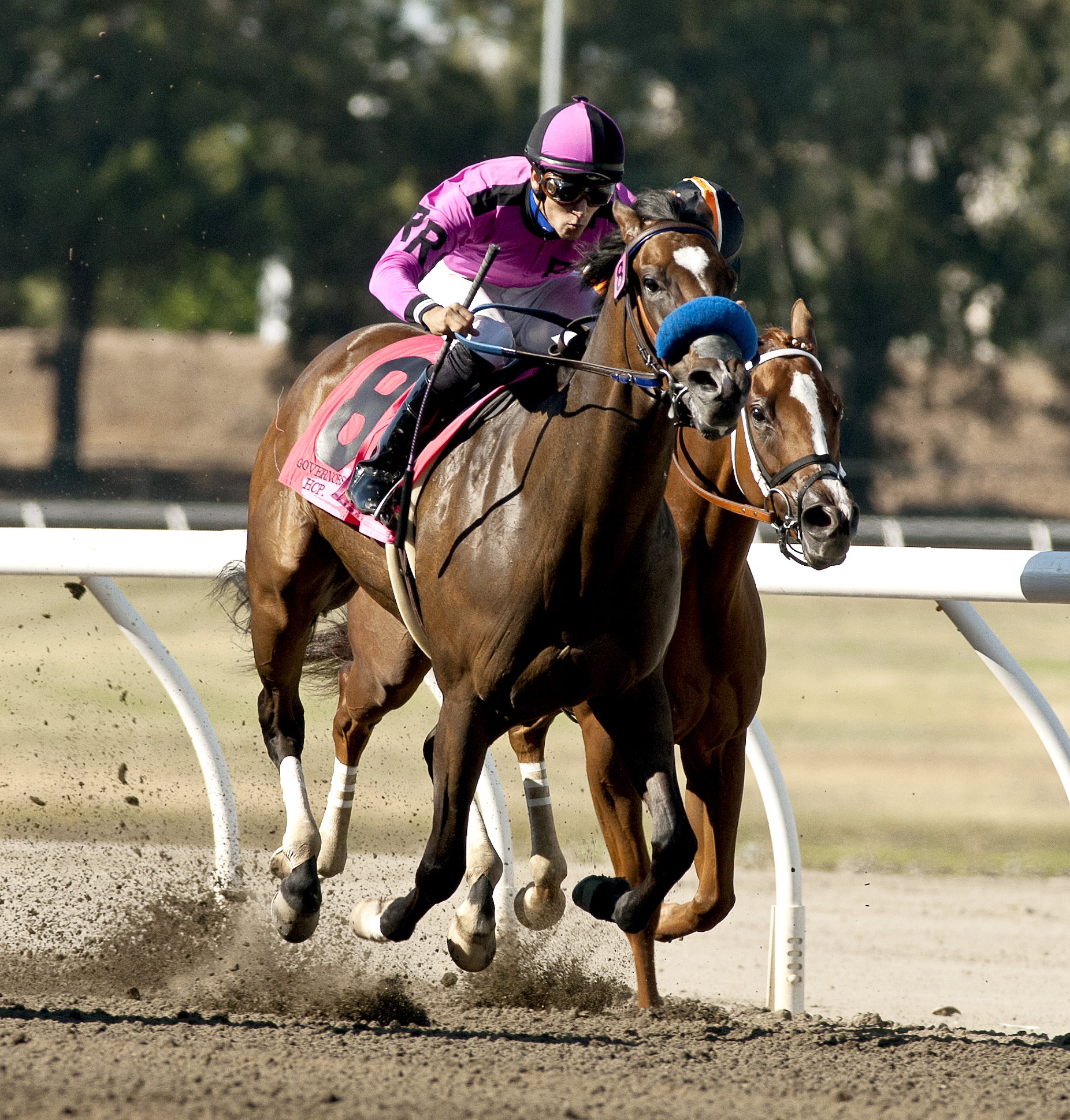 Alliford Bay wins the 2017 California Governor's Cup