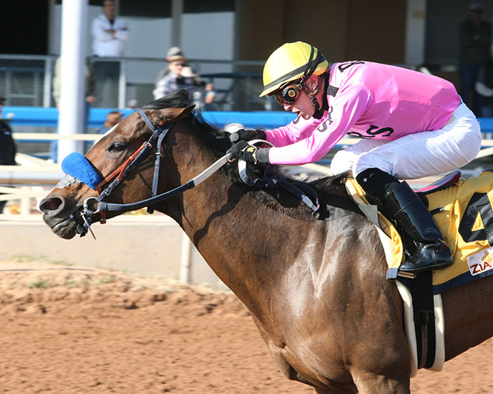 Alliford Bay wins the 2018 Zia Park Distaff