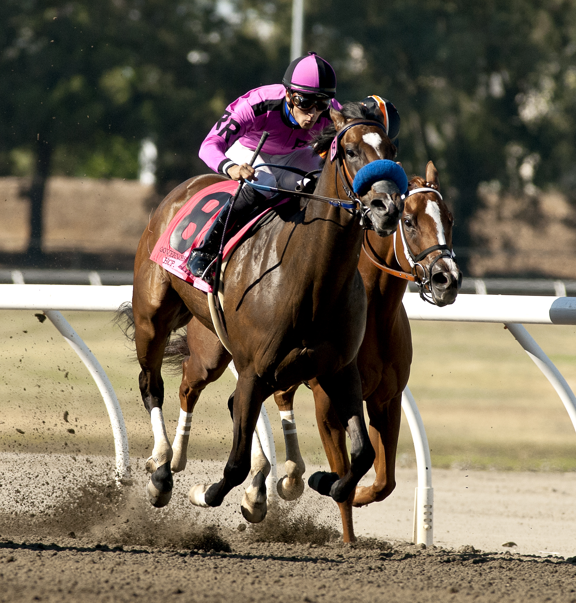 Alliford Bay defeats Fast and Foxy in the California Governor's Cup at Sacramento 7.22.17_SMIV