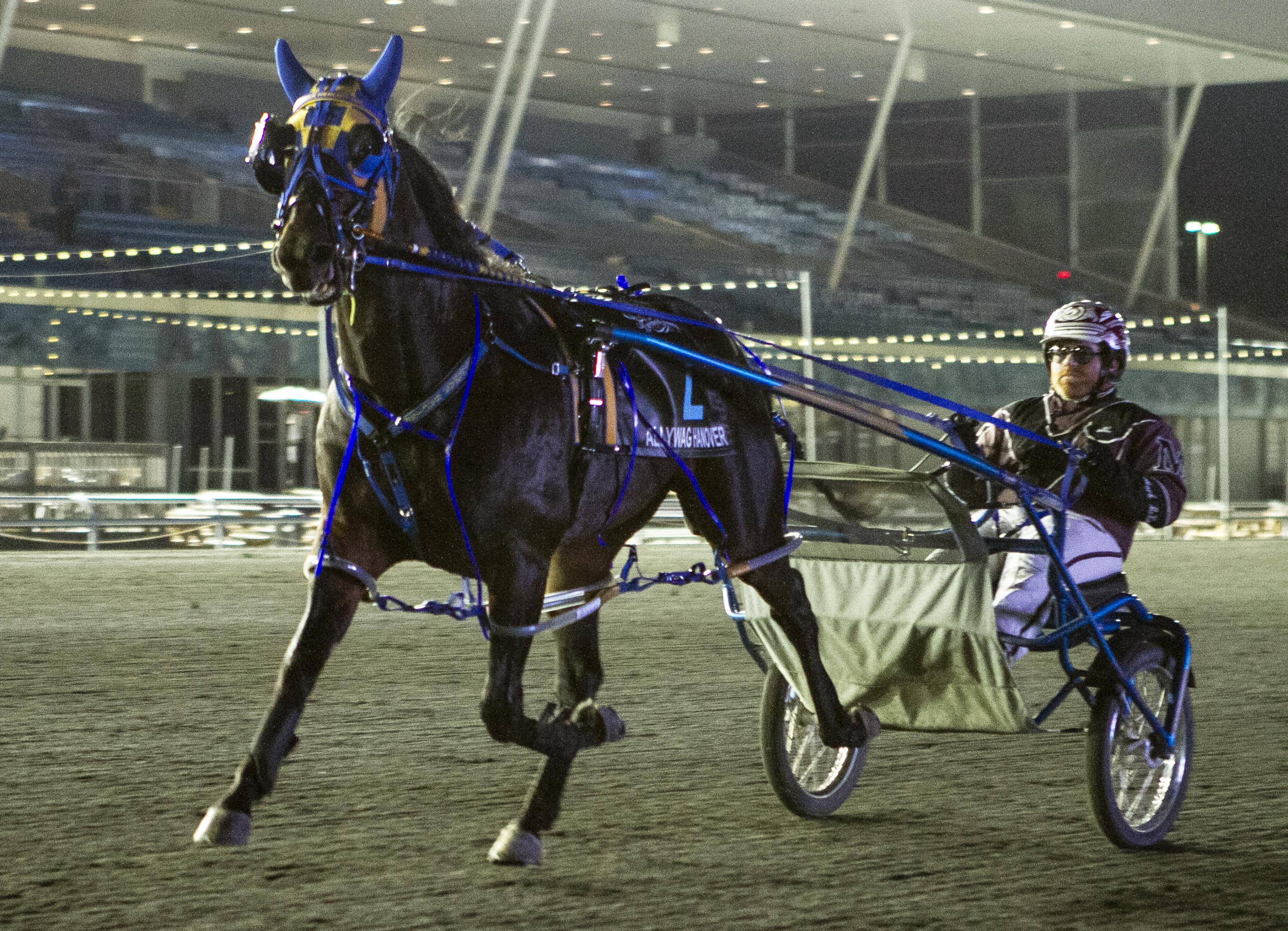 allywag hanover