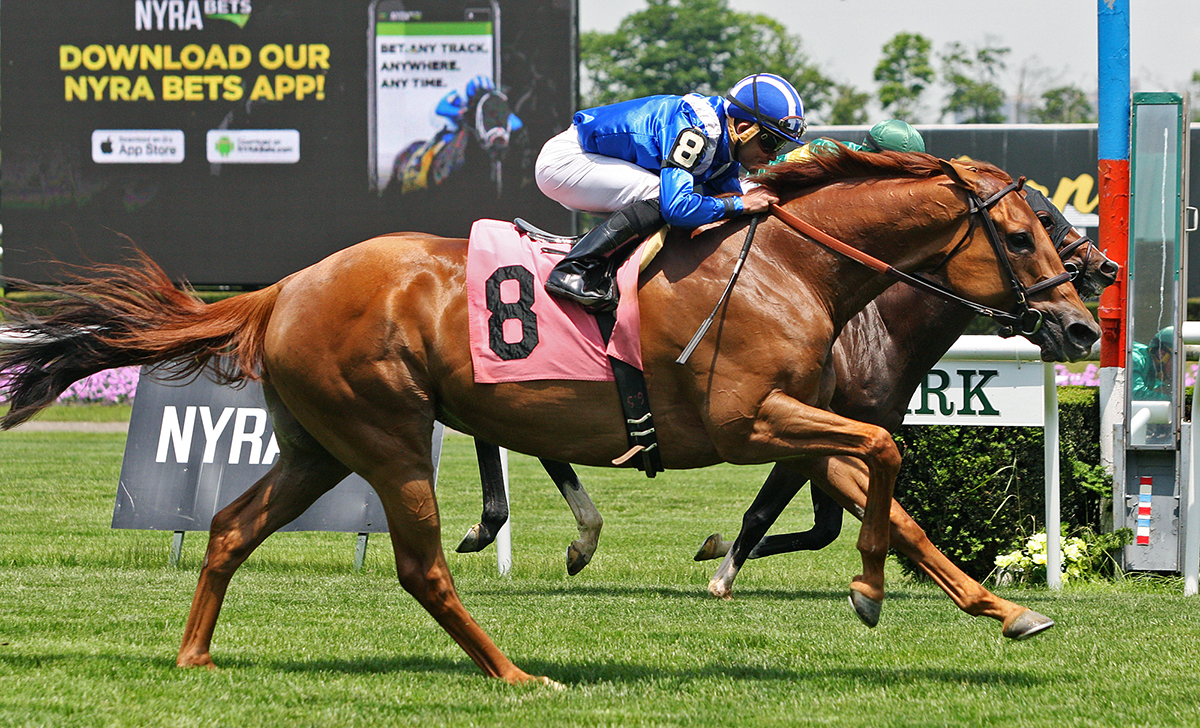 Almanaar wins a June 8 allowance