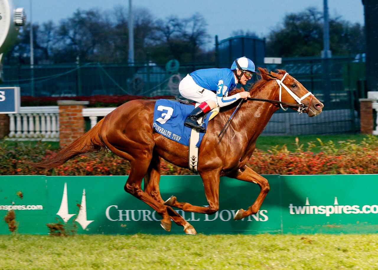 Almasty wins the Commonwealth Turf