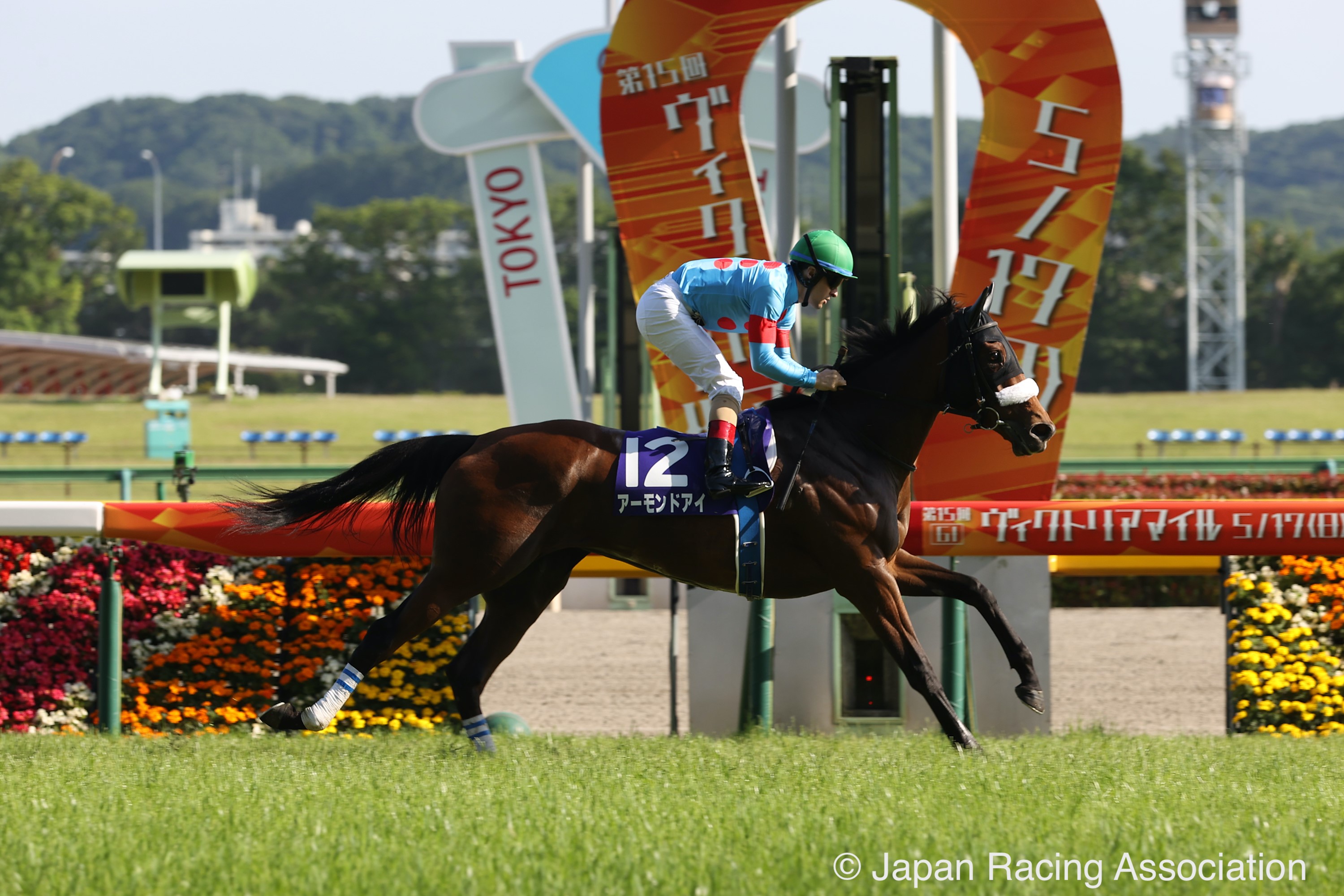 Almond Eye/Victoria Mile
