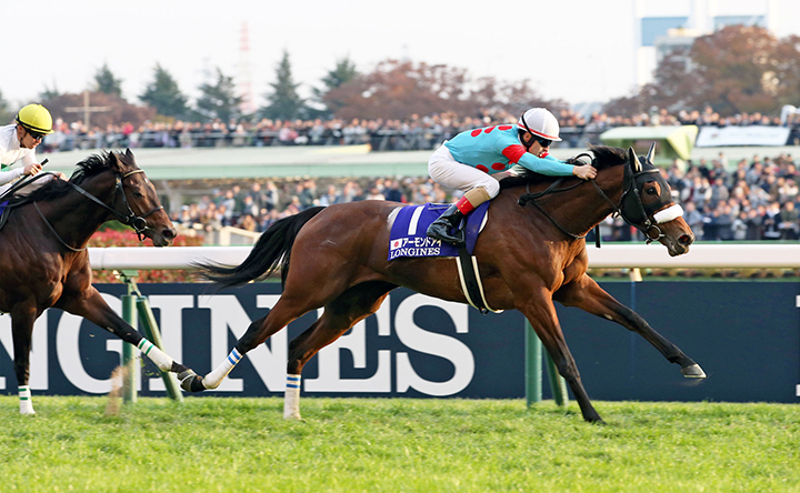 Almond Eye wins the 2018 Japan Cup