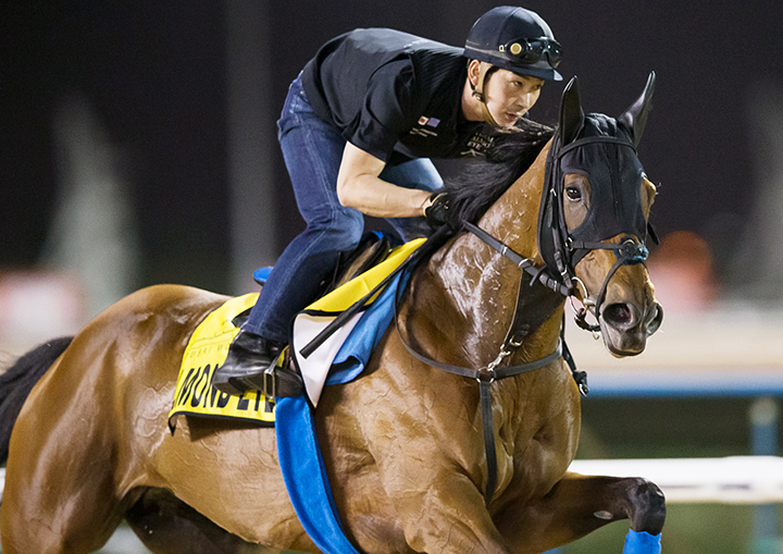 Almond Eye trains at Meydan Racecourse on March 24