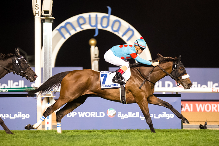 Almond Eye wins the 2019 Dubai Turf at Meydan Racecourse