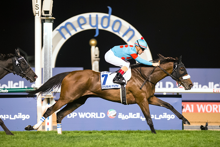 Almond Eye wins the 2019 Dubai Turf
