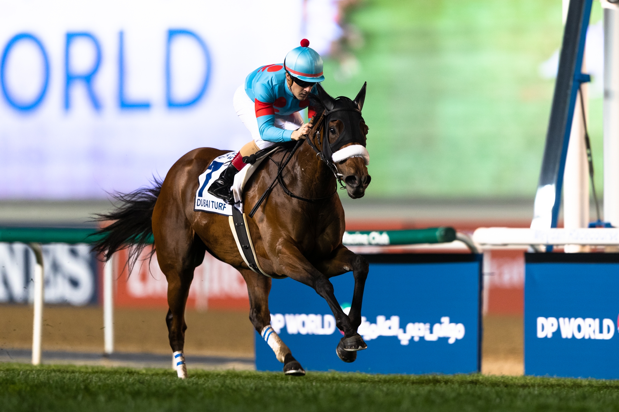 Almond Eye wins the 2019 Dubai Turf