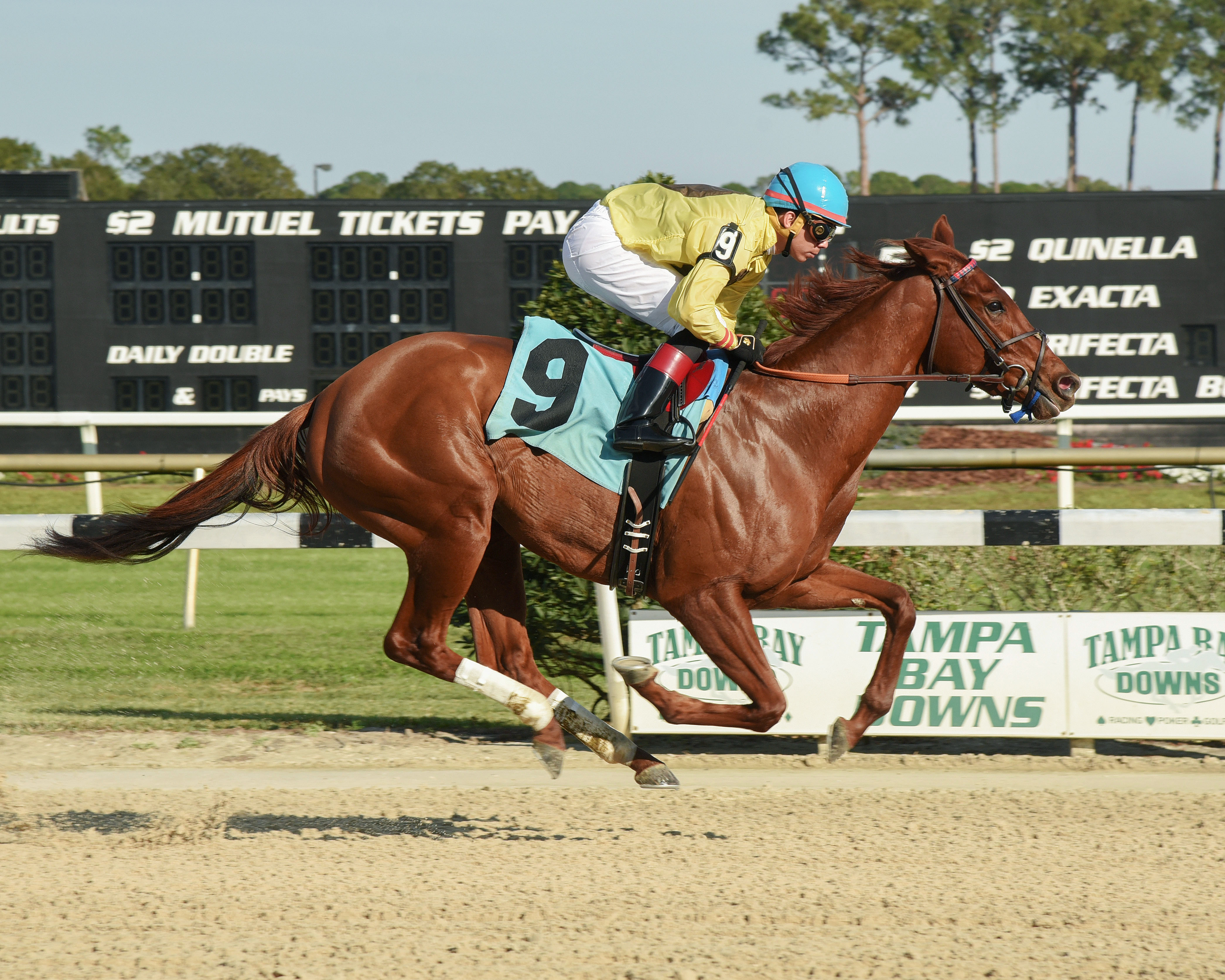 Almond Roca wins the 2017 Sandpiper Stakes