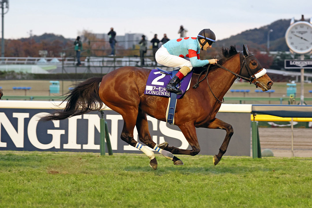 Almond Eye wins the 2020 Japan Cup at Tokyo Racecourse
