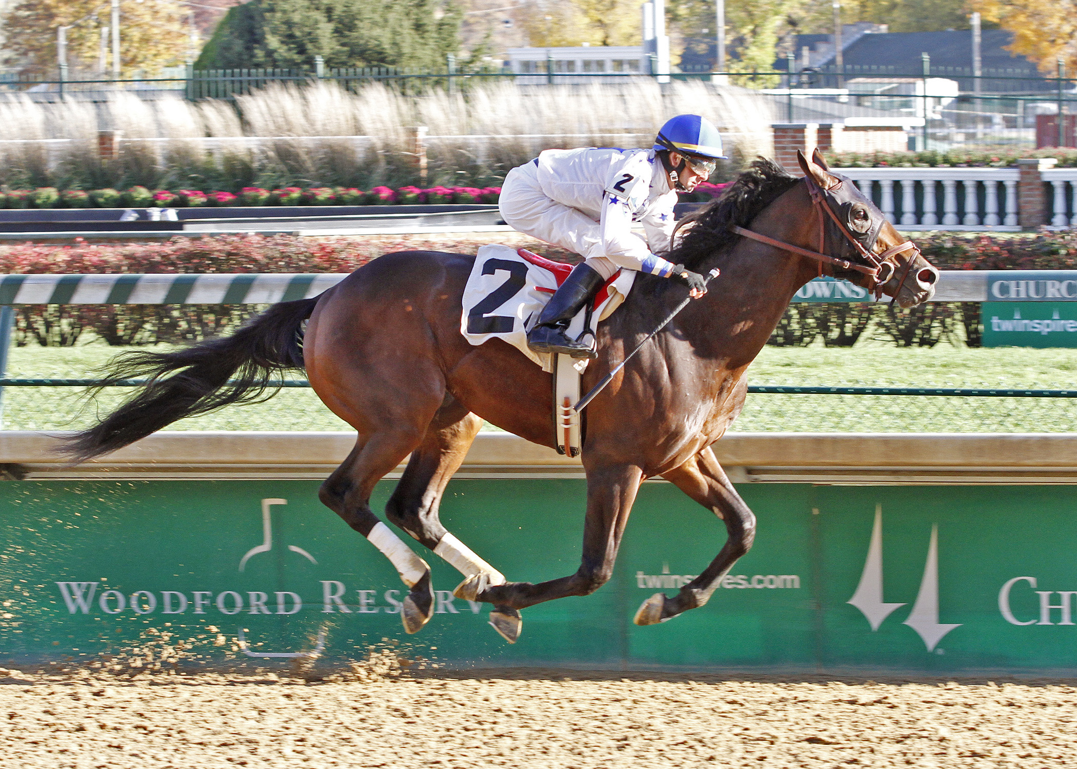 Almost Famous wins an optional claimer
