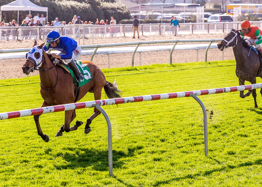 Alms wins the 2020 Shantel Lanerie Memorial Overnight Stakes at Fair Grounds