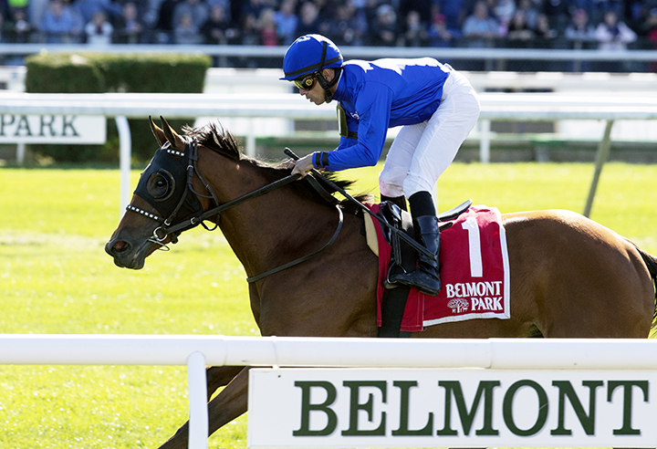 Alms wins the 2019 Matron Stakes at Belmont Park