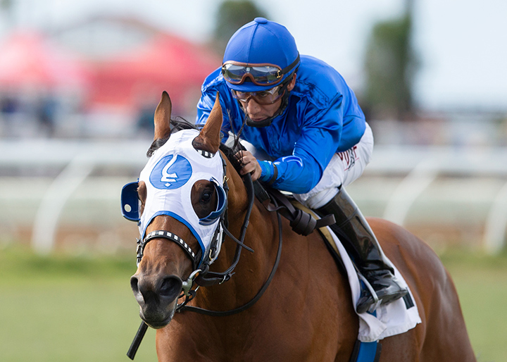 Alms wins the 2019 Jimmy Durante Stakes at Del Mar