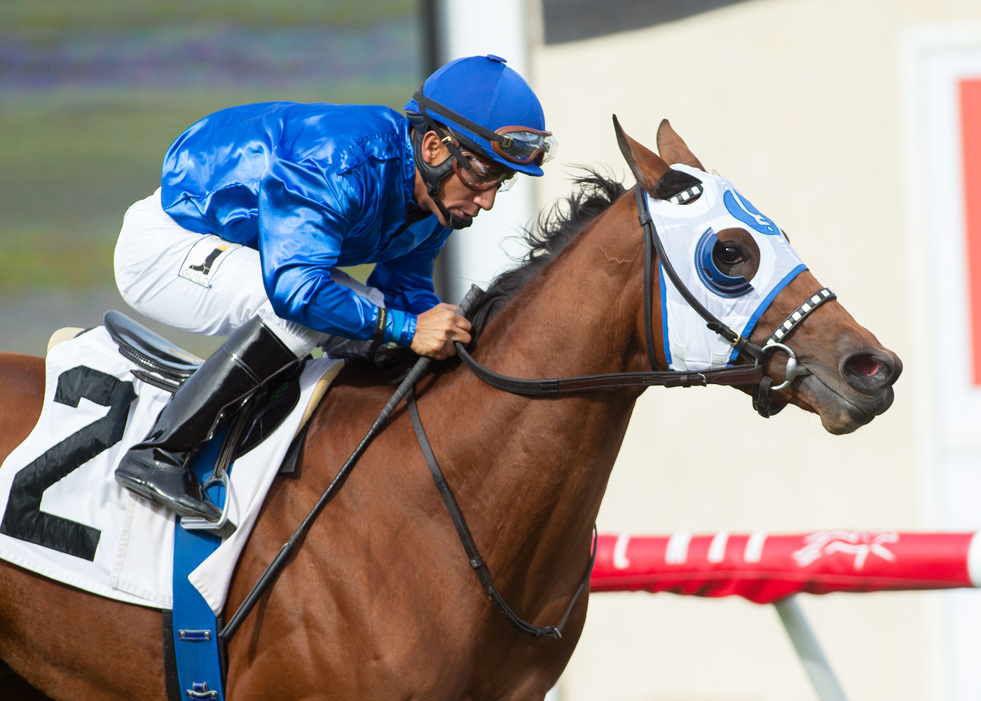 Alms wins the 2019 Jimmy Durante Stakes at Del Mar