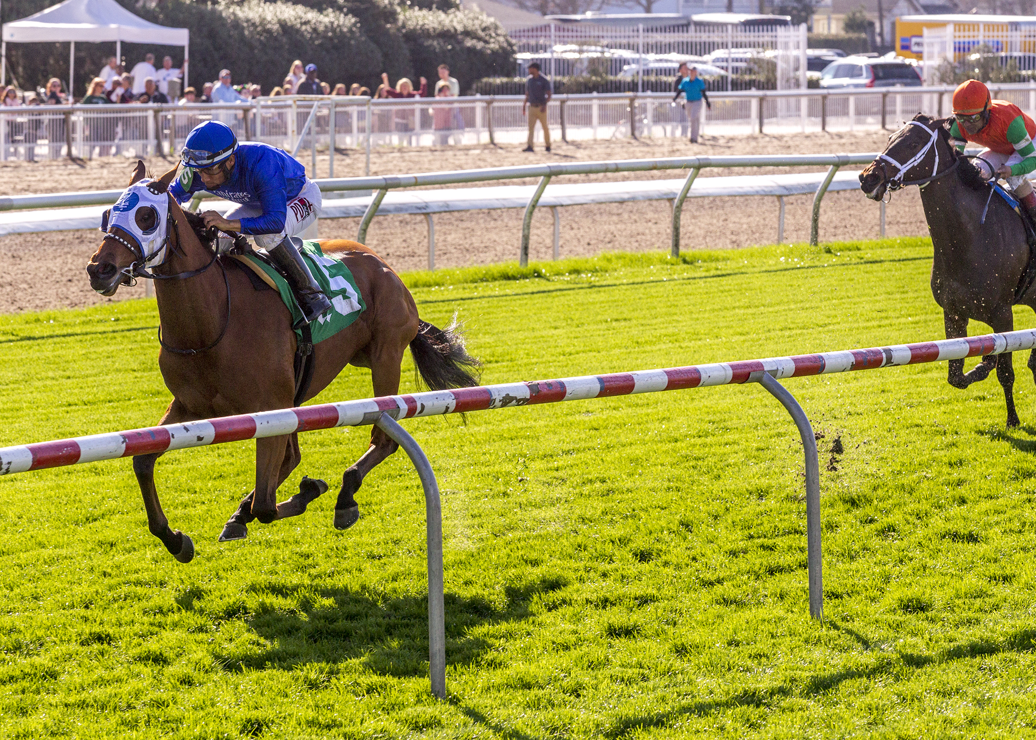 Alms wins the 2020 Shantel Lanerie Stakes