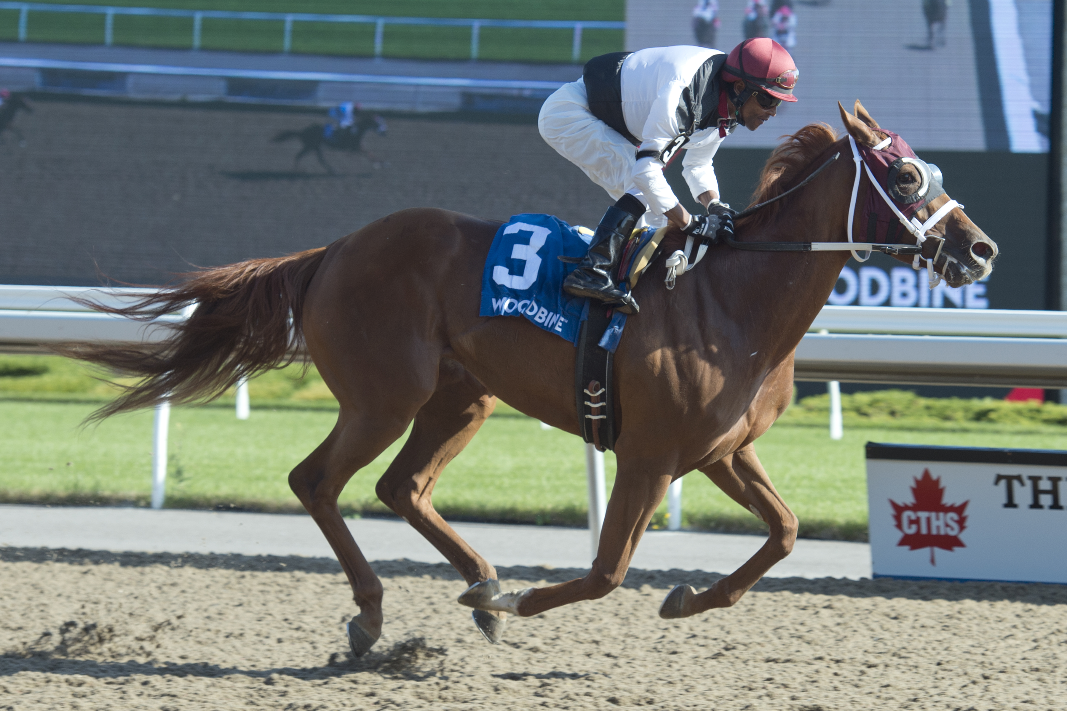 Alnilah wins the 2019 Seaway Stakes