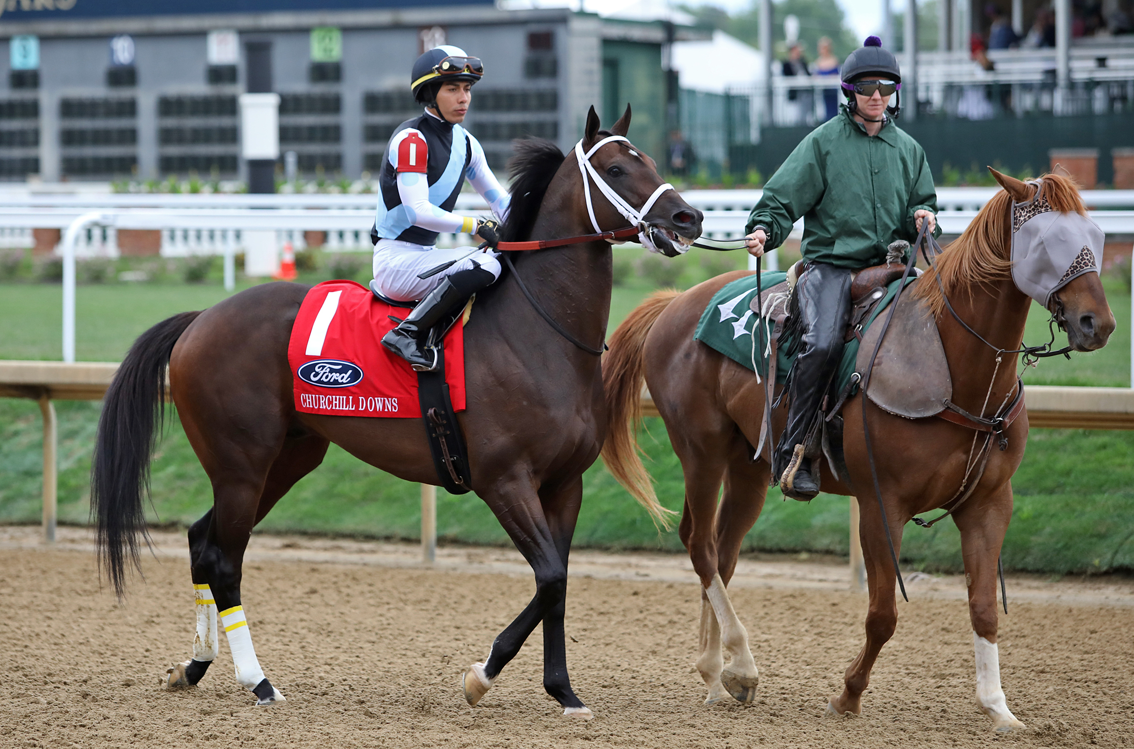Aloha West in the post parade for the Churchill Stakes on May 7 2022