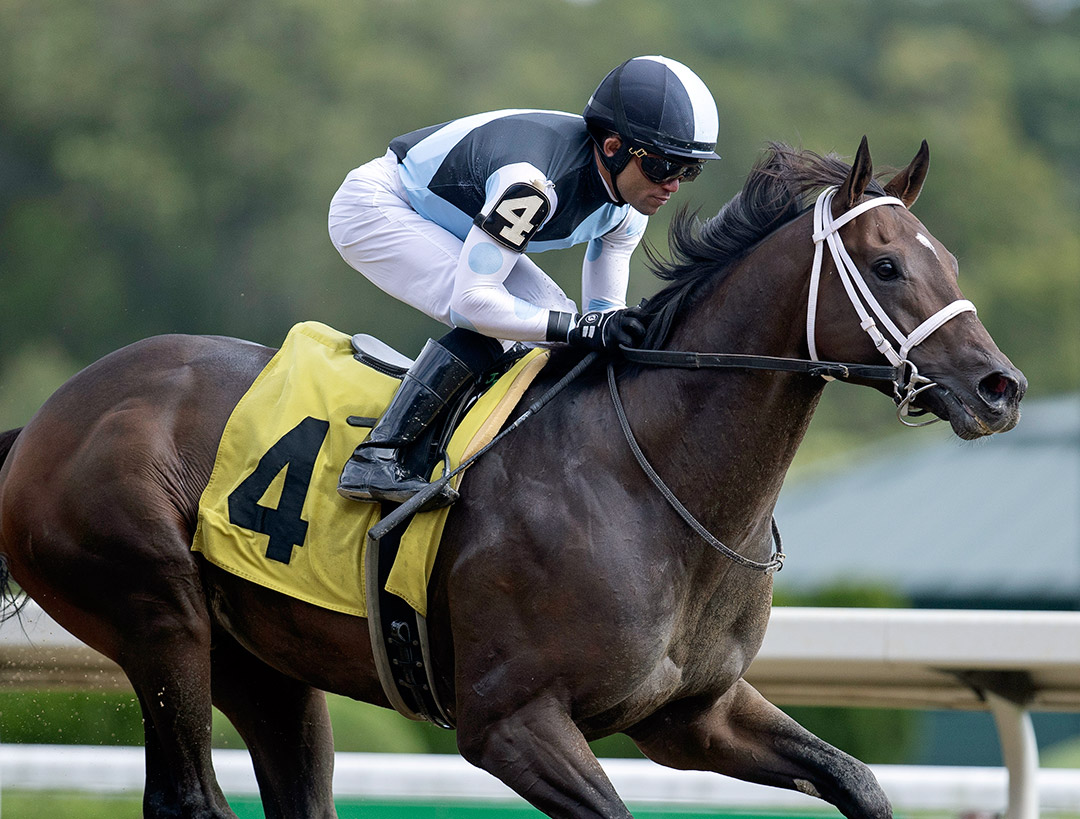 Aloha West wins a Sept. 2 allowance at Saratoga Race Course