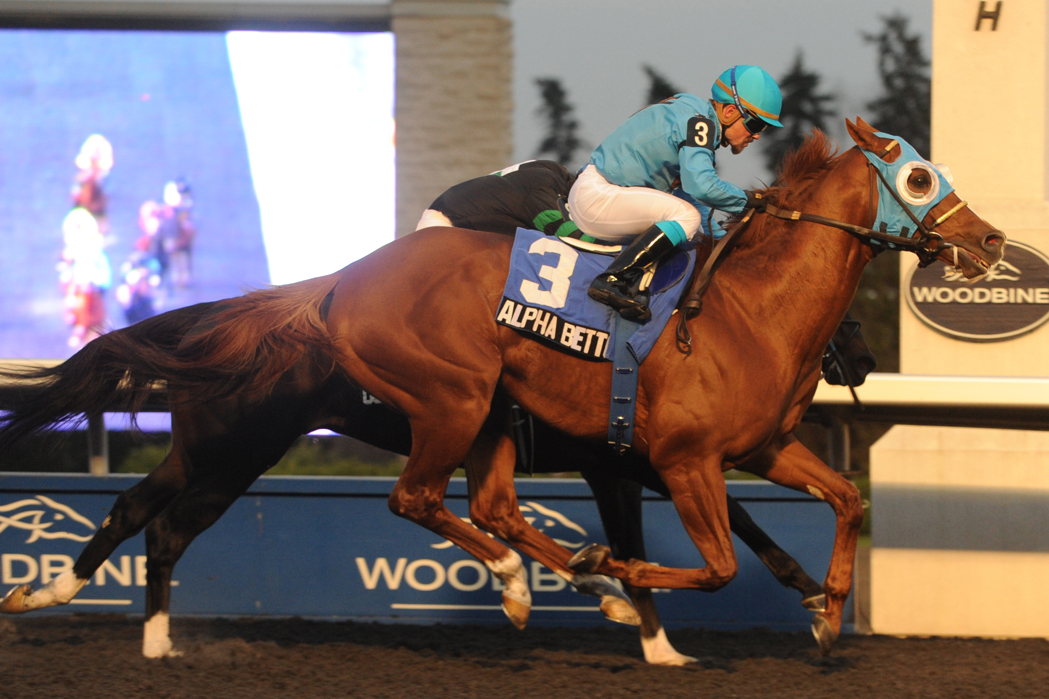 Alpha Bettor