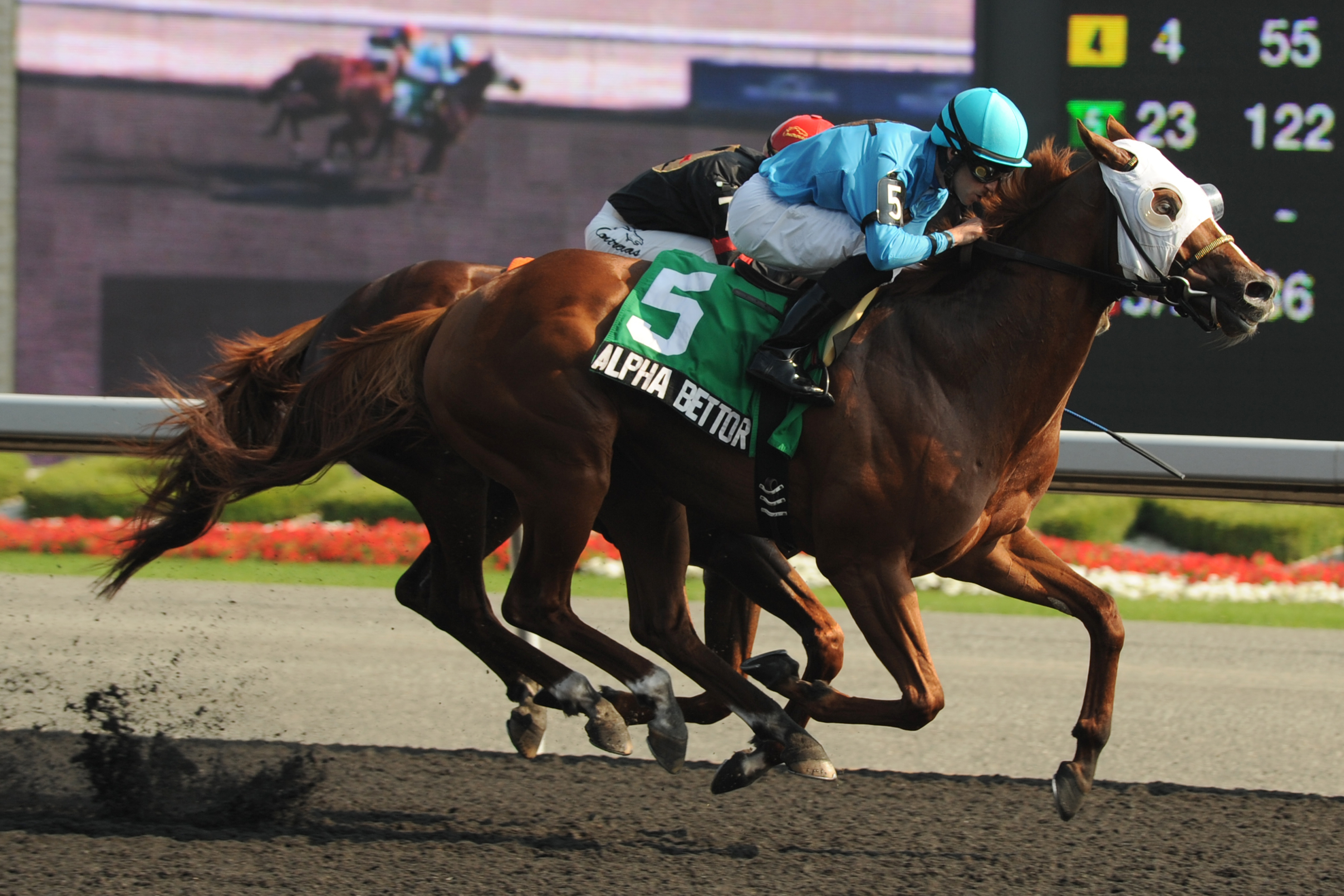 Alpha Bettor