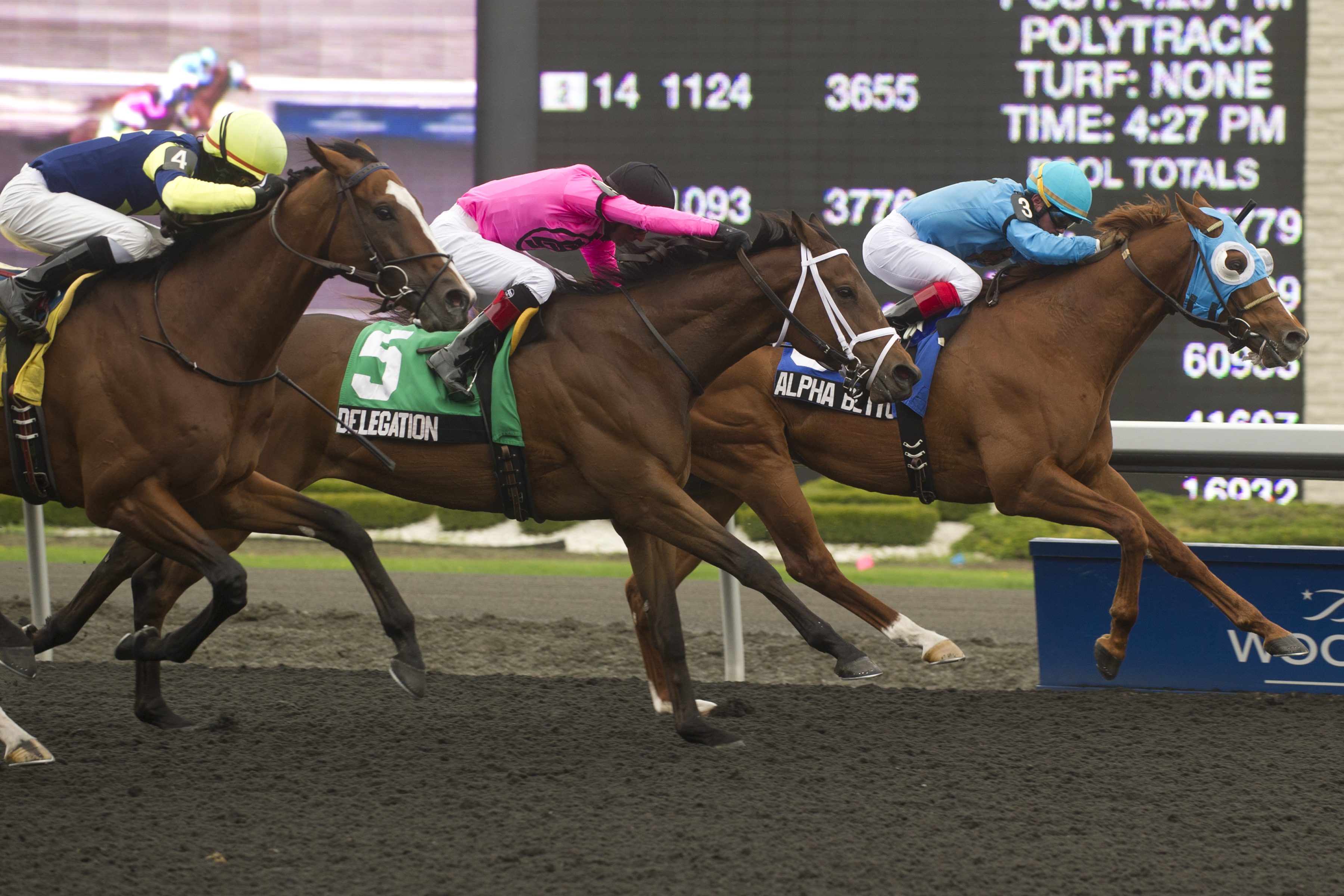 Alpha Bettor, Eclipse Stakes