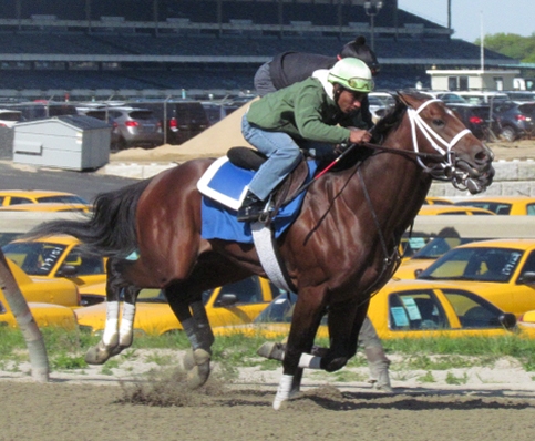 2012 Kentucky Derby: Alpha gets green light after sharp drill at Belmont