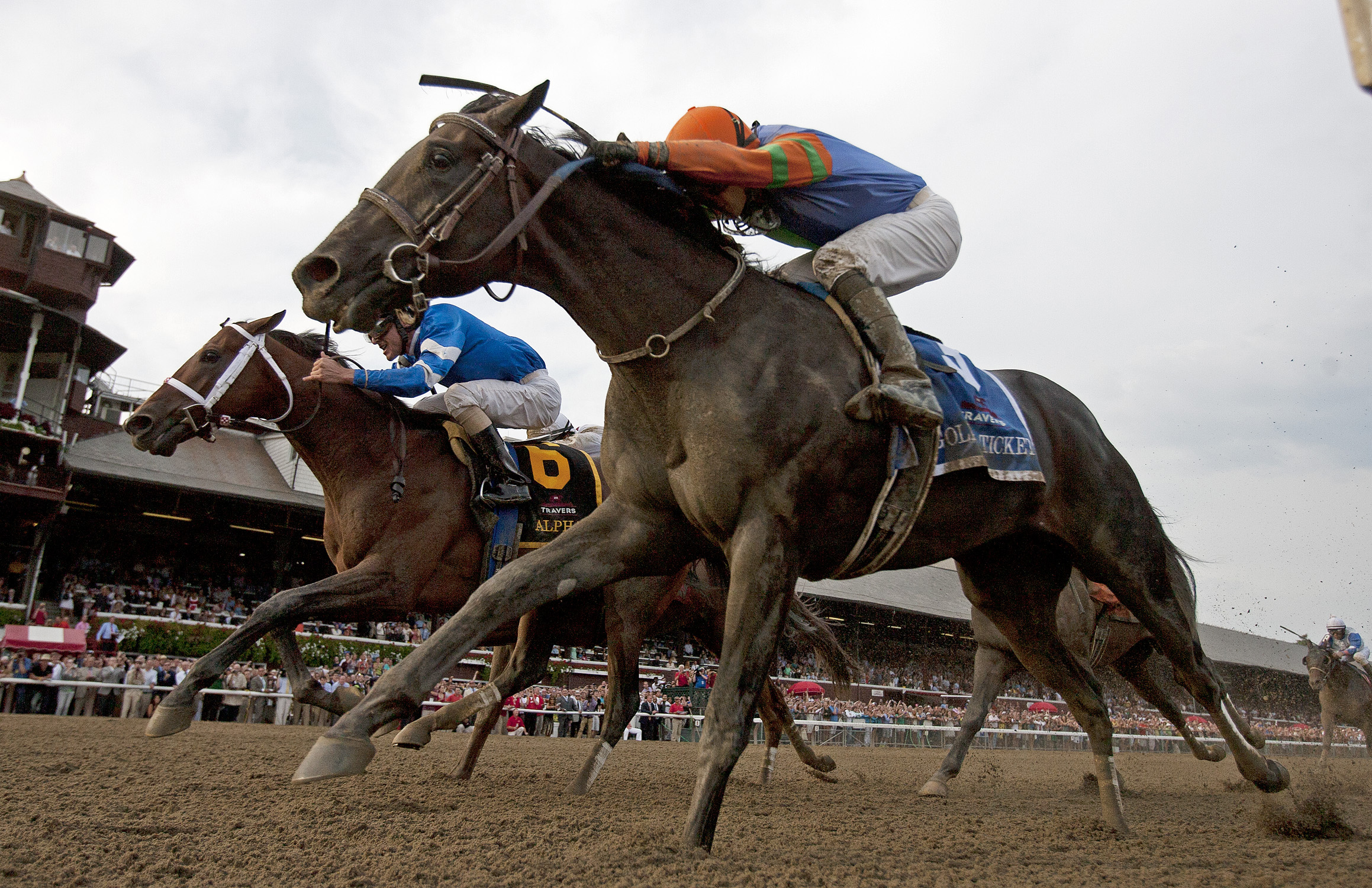 Alpha and Golden Ticket dead heat in the 2012 Travers