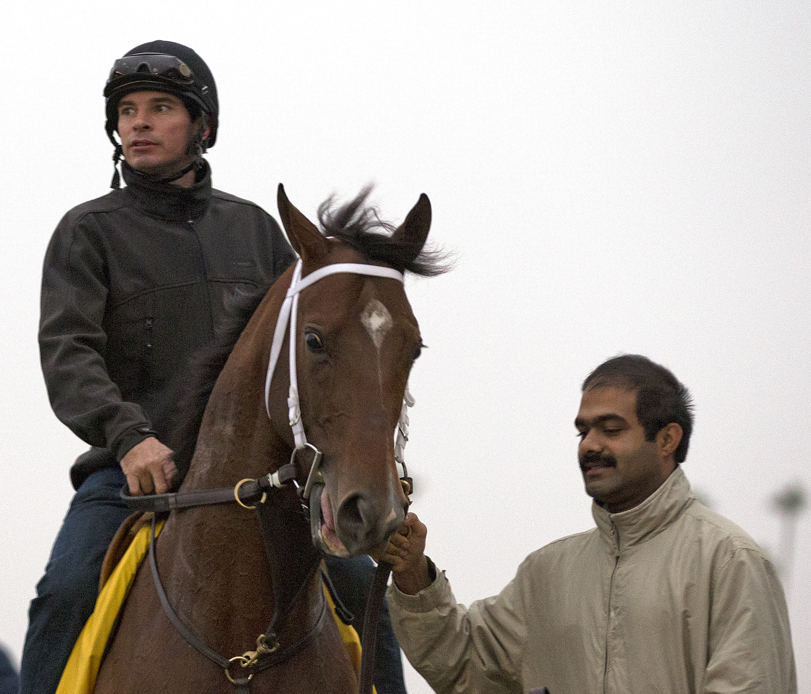 Dubai: Alpha heads Godolphin's strong team on Maktoum Challenge card