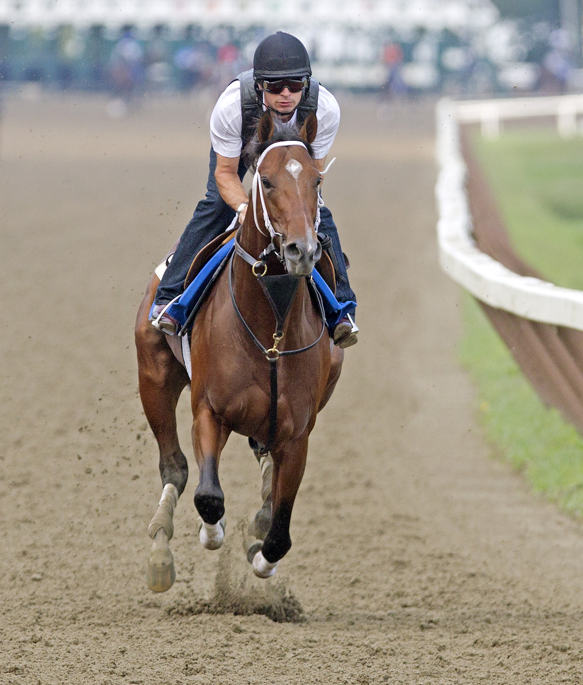 Alpha training at Saratoga on Aug. 16