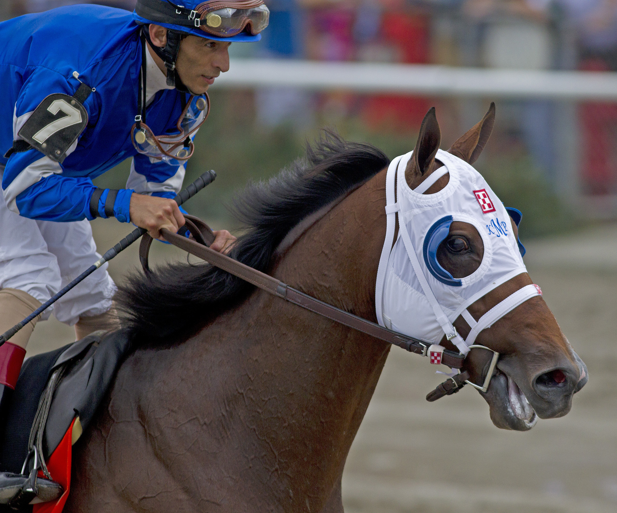 Alpha wins the Woodward