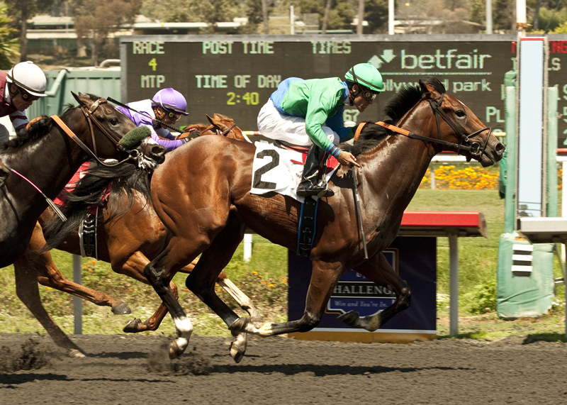 Alpine Luck 7-13-2013