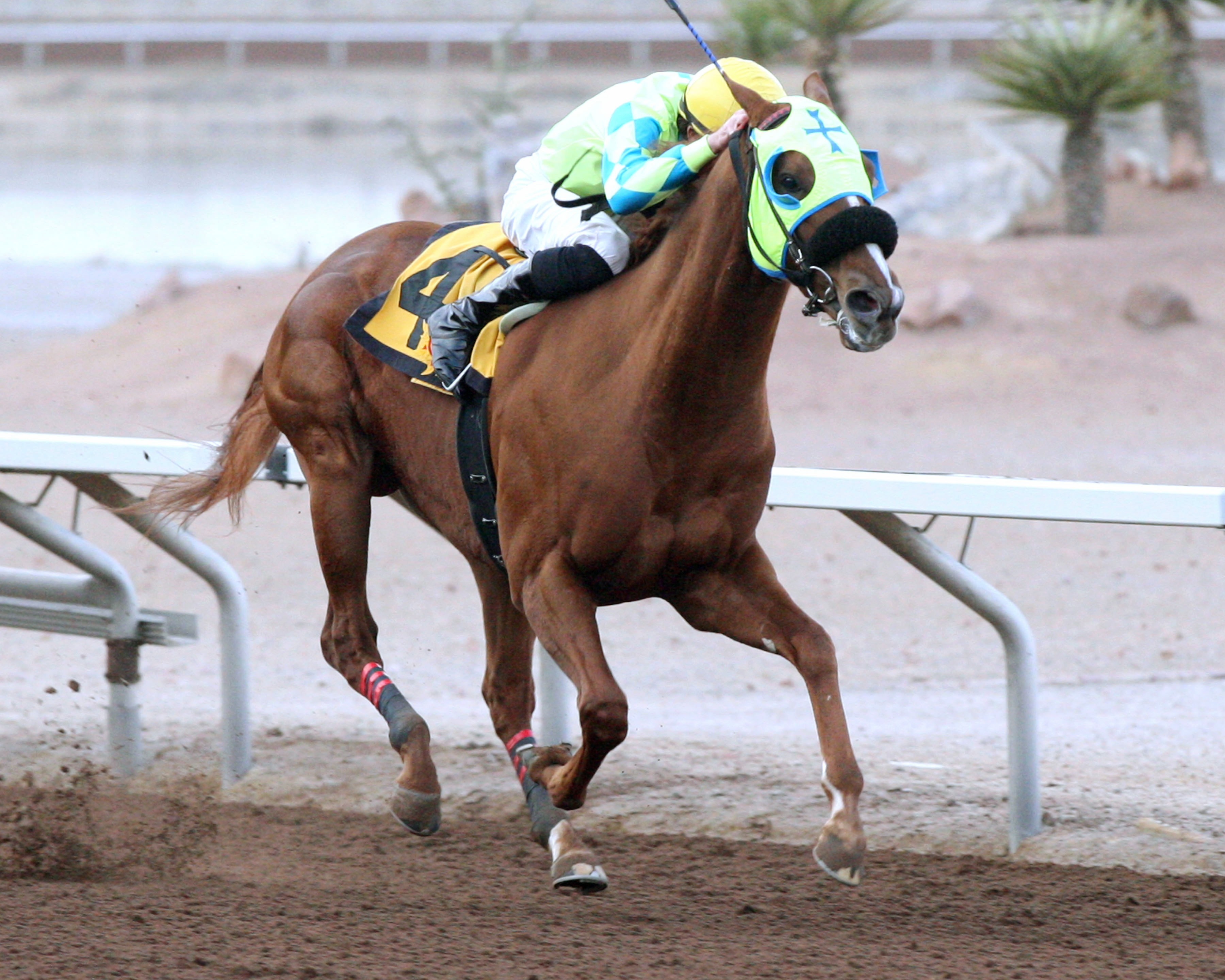 Alsono wins the 2015 KLAQ Handicap