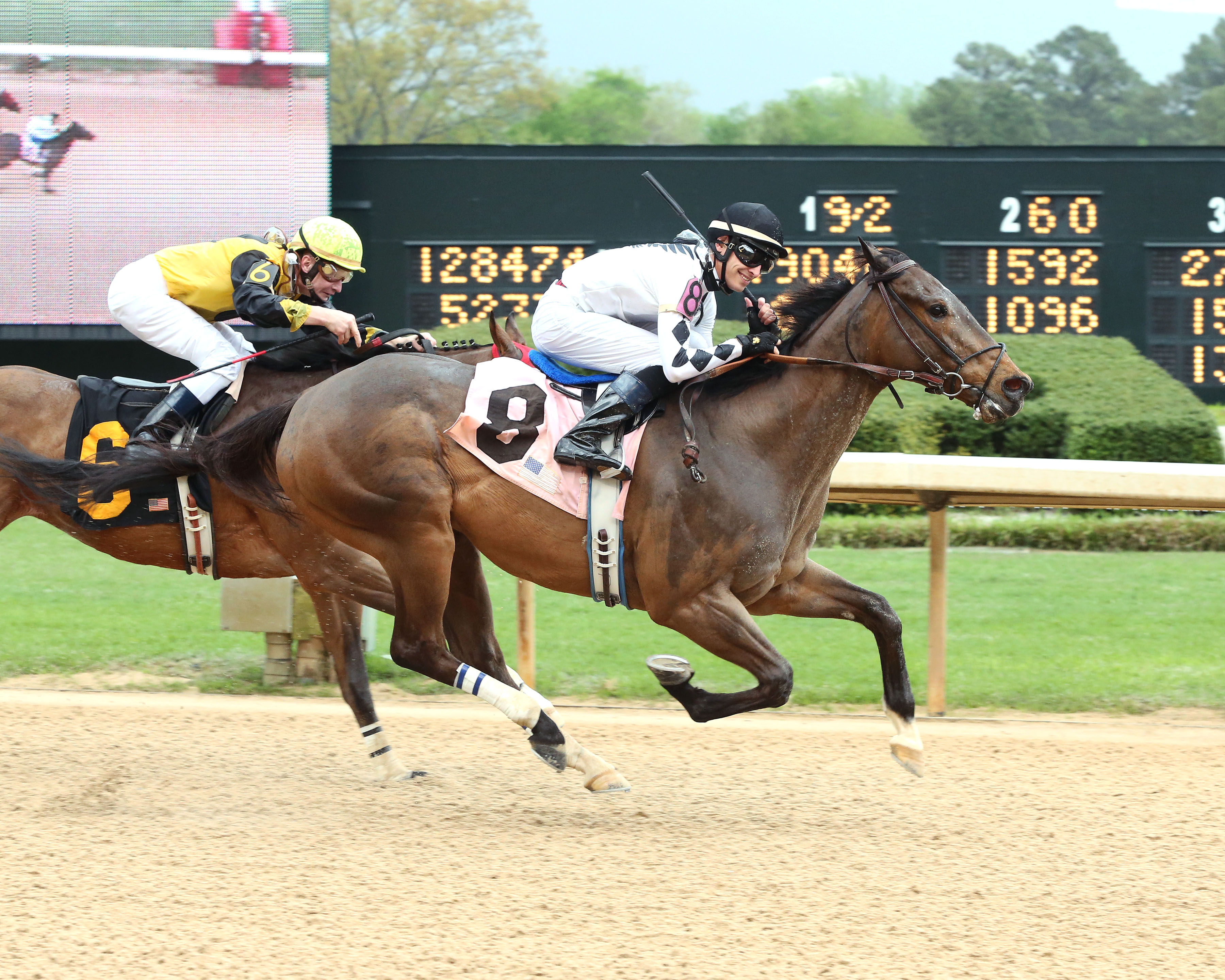 Alsvid wins 2015 Count Fleet