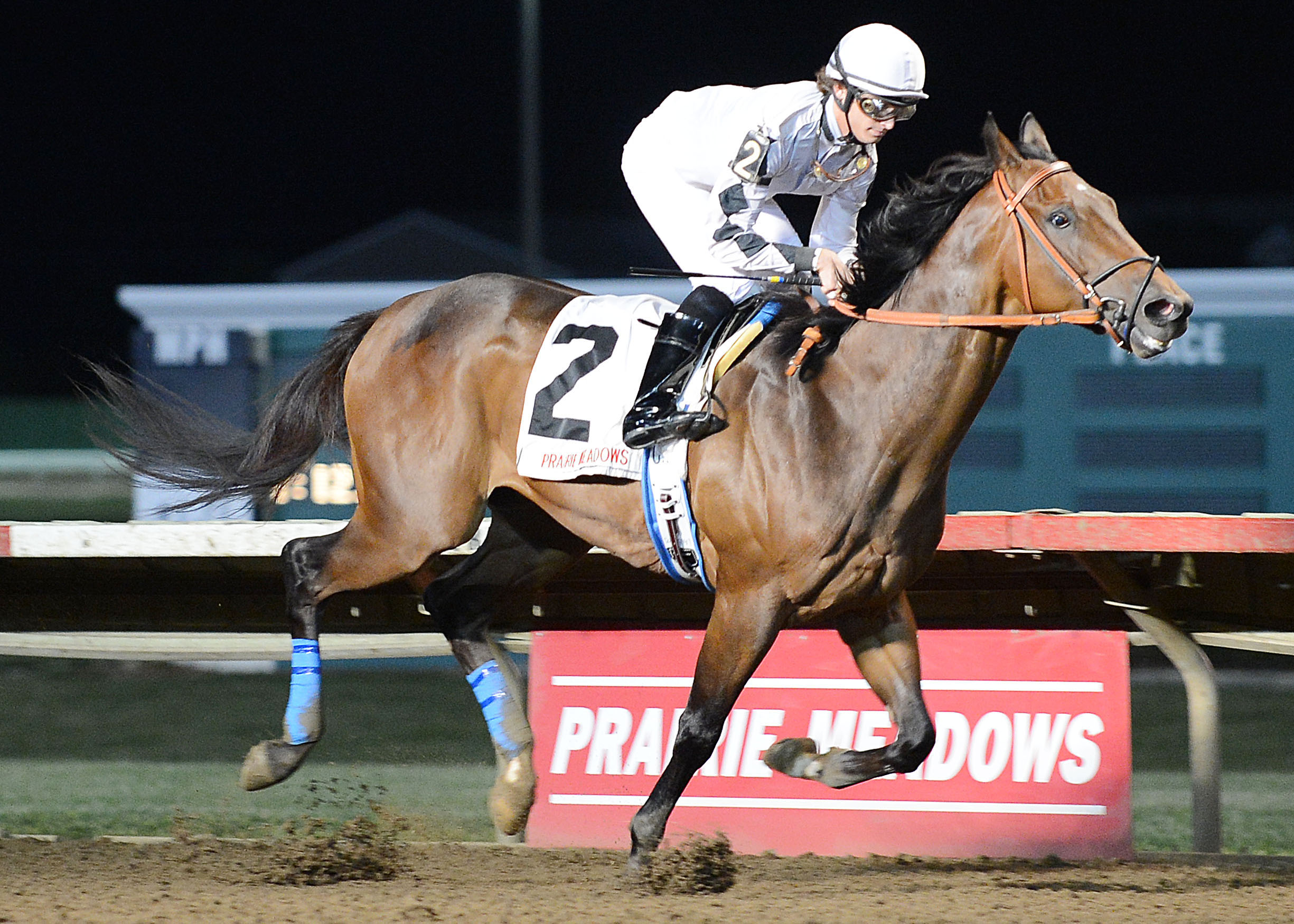 Alsvid/Prairie Mile Stakes