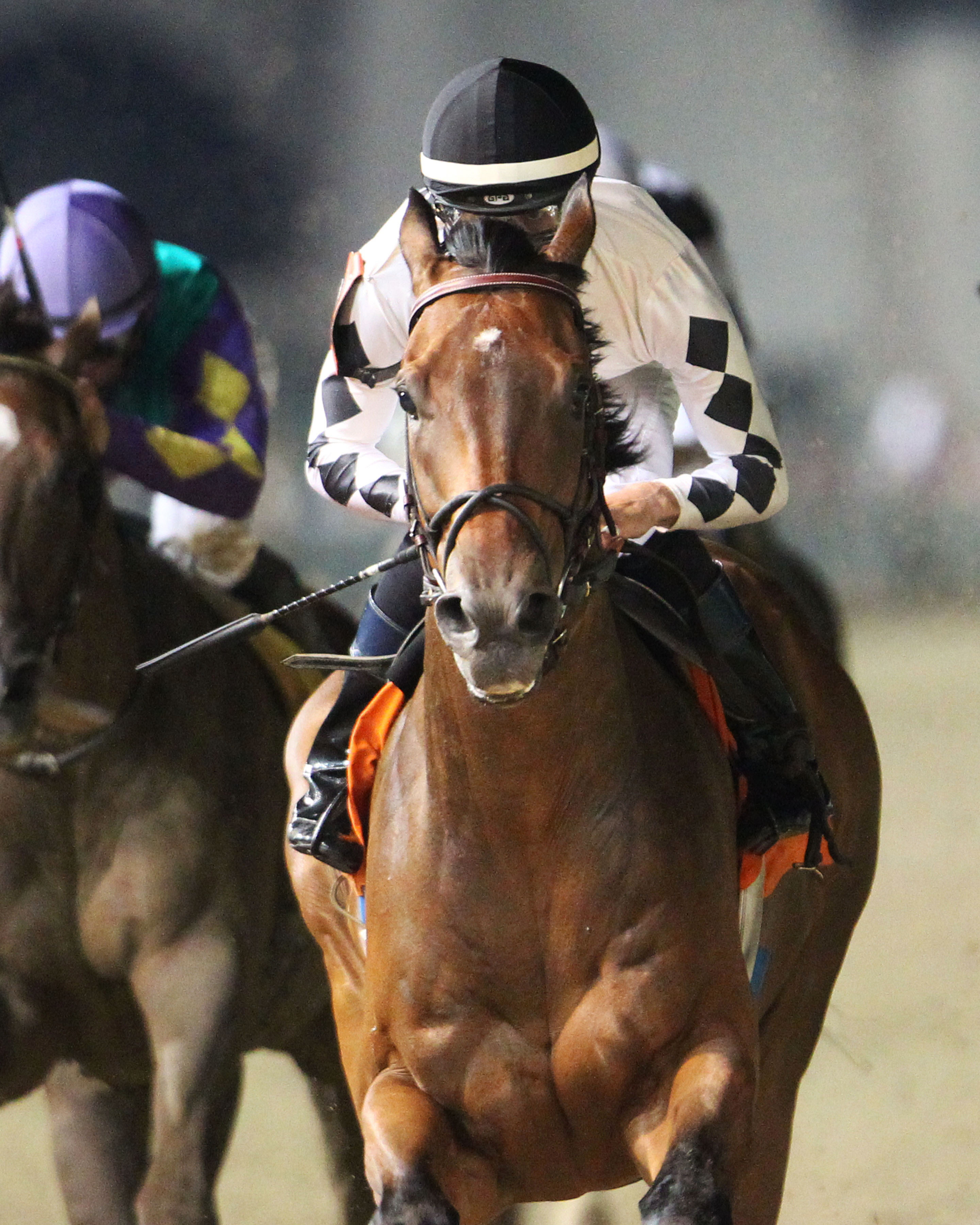 Alsvid wins the Kelly's Landing Overnight Stakes