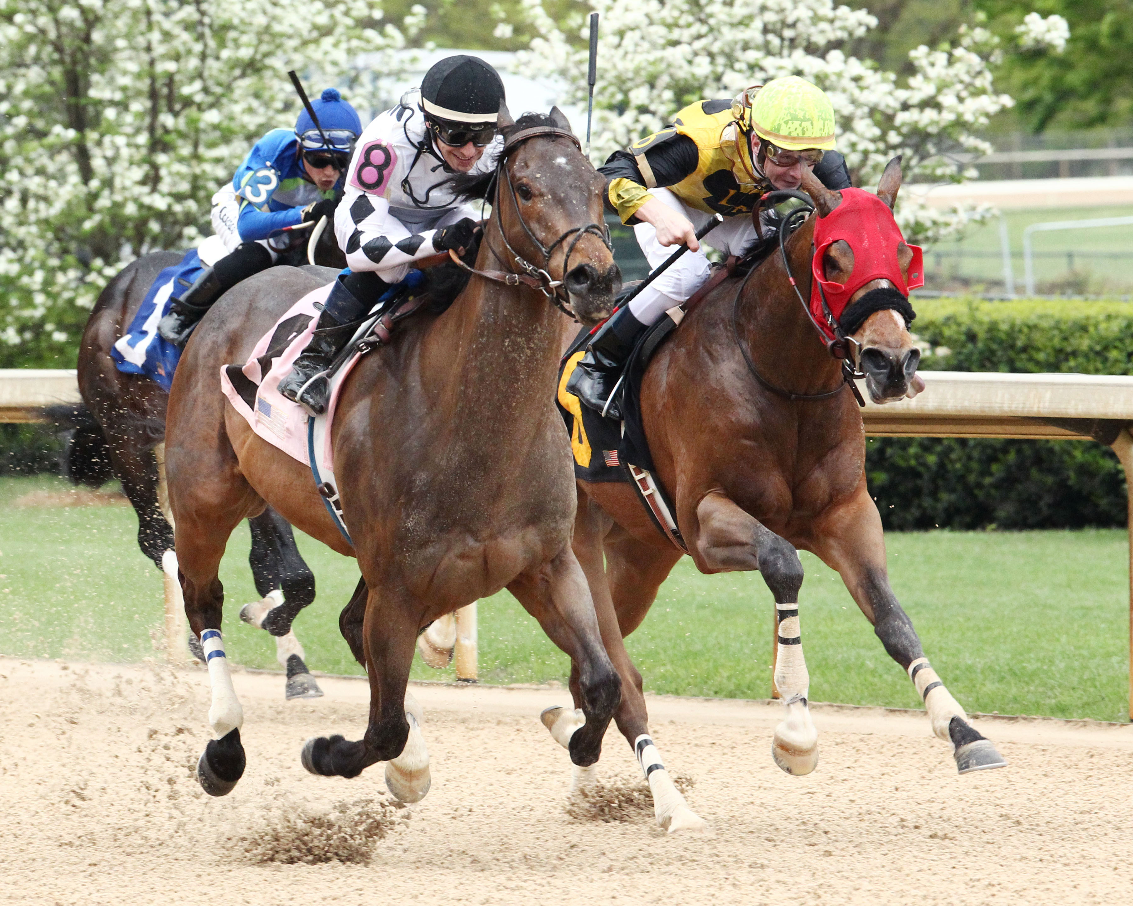 Alsvid wins the Count Fleet Handicap